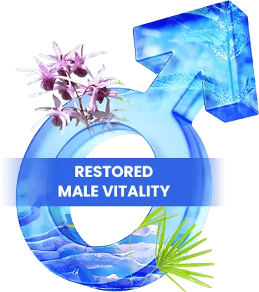Restored Male Vitality - JellyFil natural formula for men